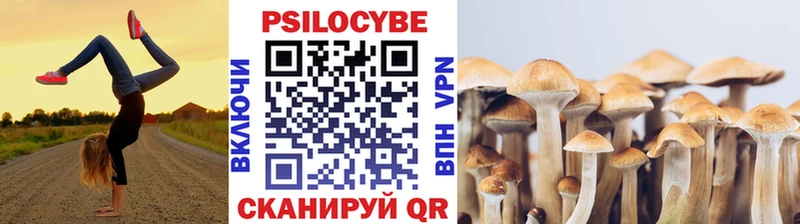 Псилоцибиновые грибы Cubensis  Купить где  Буйнакск 